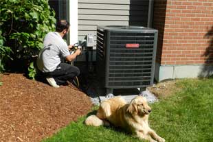 dog ac condenser