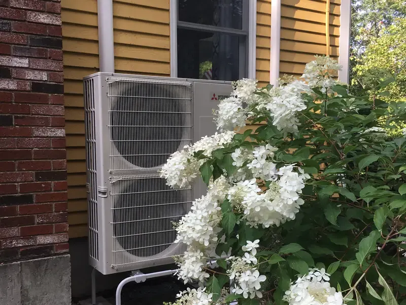 Mitsubishi dual-fan multi-zone outdoor mini split installed alongside a yellow Southern NH home with hydrangeas in bloom
